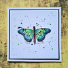 Morphed Palette Stamp Set No. 918