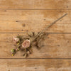 Crème et rose 25" Rose Spray
