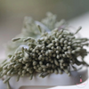 Pastel Threaded Clay Pollen Bundles