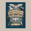 Ornithography by Jessica Roux