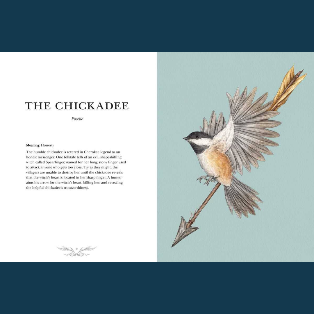 Ornithography by Jessica Roux