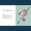 Ornithography by Jessica Roux