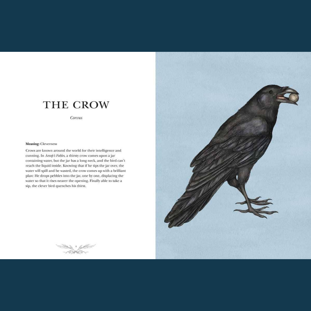 Ornithography by Jessica Roux