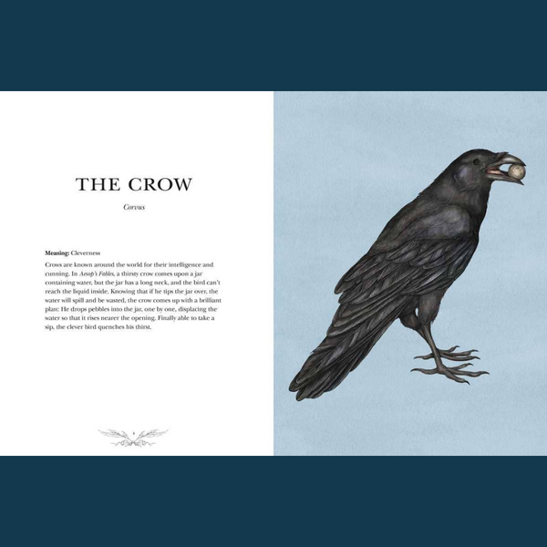 Ornithography by Jessica Roux