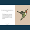 Ornithography by Jessica Roux
