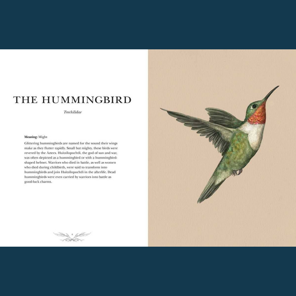 Ornithography by Jessica Roux