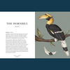 Ornithography by Jessica Roux