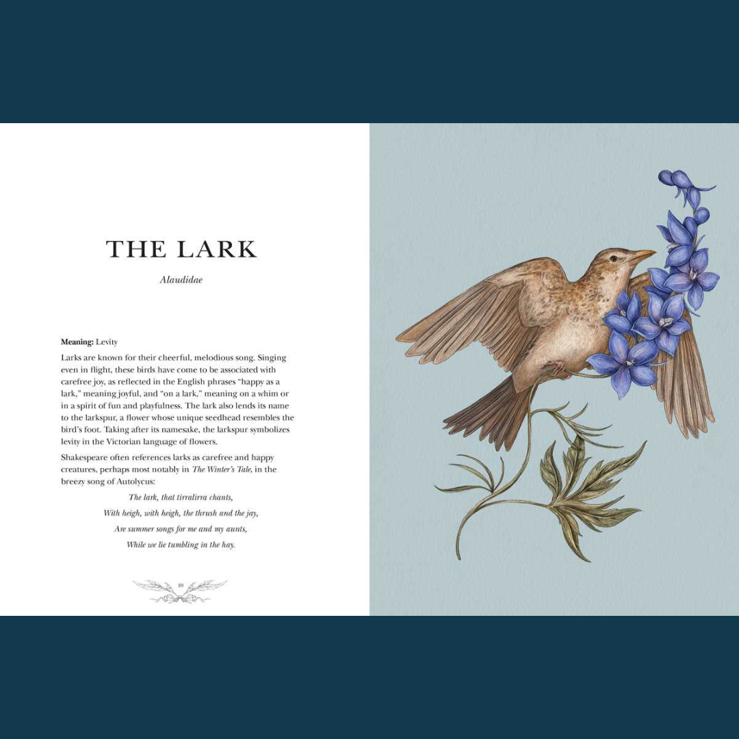 Ornithography by Jessica Roux