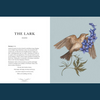 Ornithography by Jessica Roux