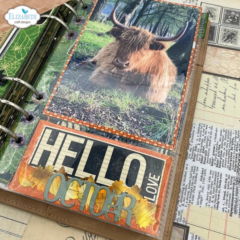 Planner Essentials Pocket Pages