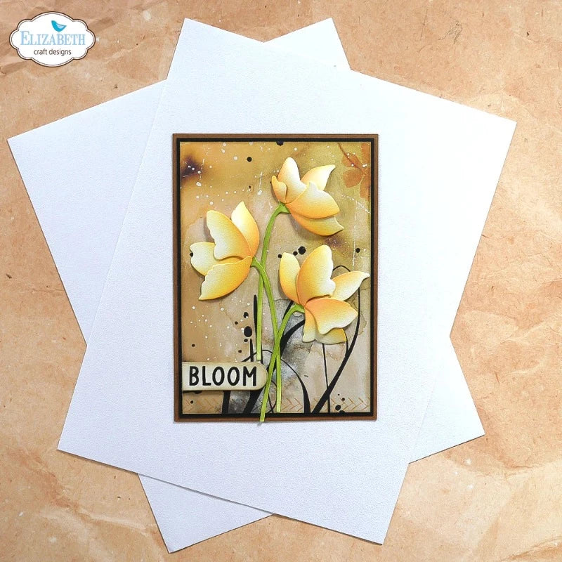 Soft Finish Cardstock | 25 pk