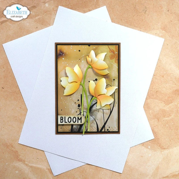 Soft Finish Cardstock | 25 pk