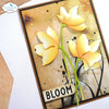 Soft Finish Cardstock | 25 pk