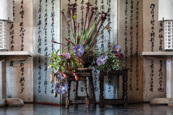 Punk Ikebana