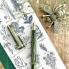 {coming soon!} Palm Green JR Fountain Pen