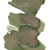 Peter Pan Fountain Pen Ink | Peter and Wendy Collection