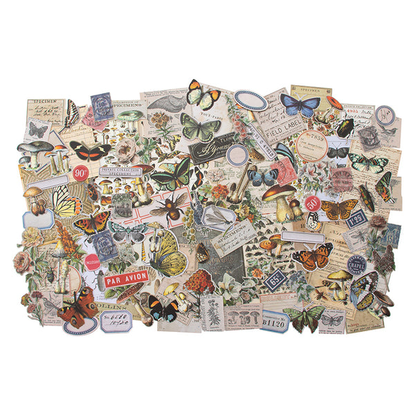 Pack éphémère de notes de terrain | idée-ologie