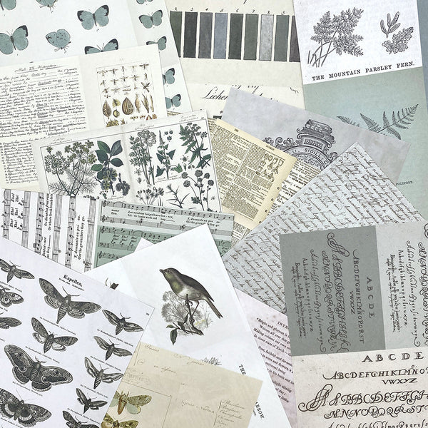 Collage Sheets 6x8 | Color Swatch: Eucalyptus
