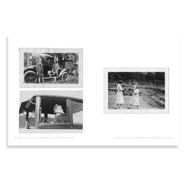 Snapshots of Dangerous Women | Cohen