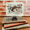 Mini Art Print on Handmade Paper {multiple designs}