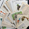 Vintage Book Pages Junk Journal Kit