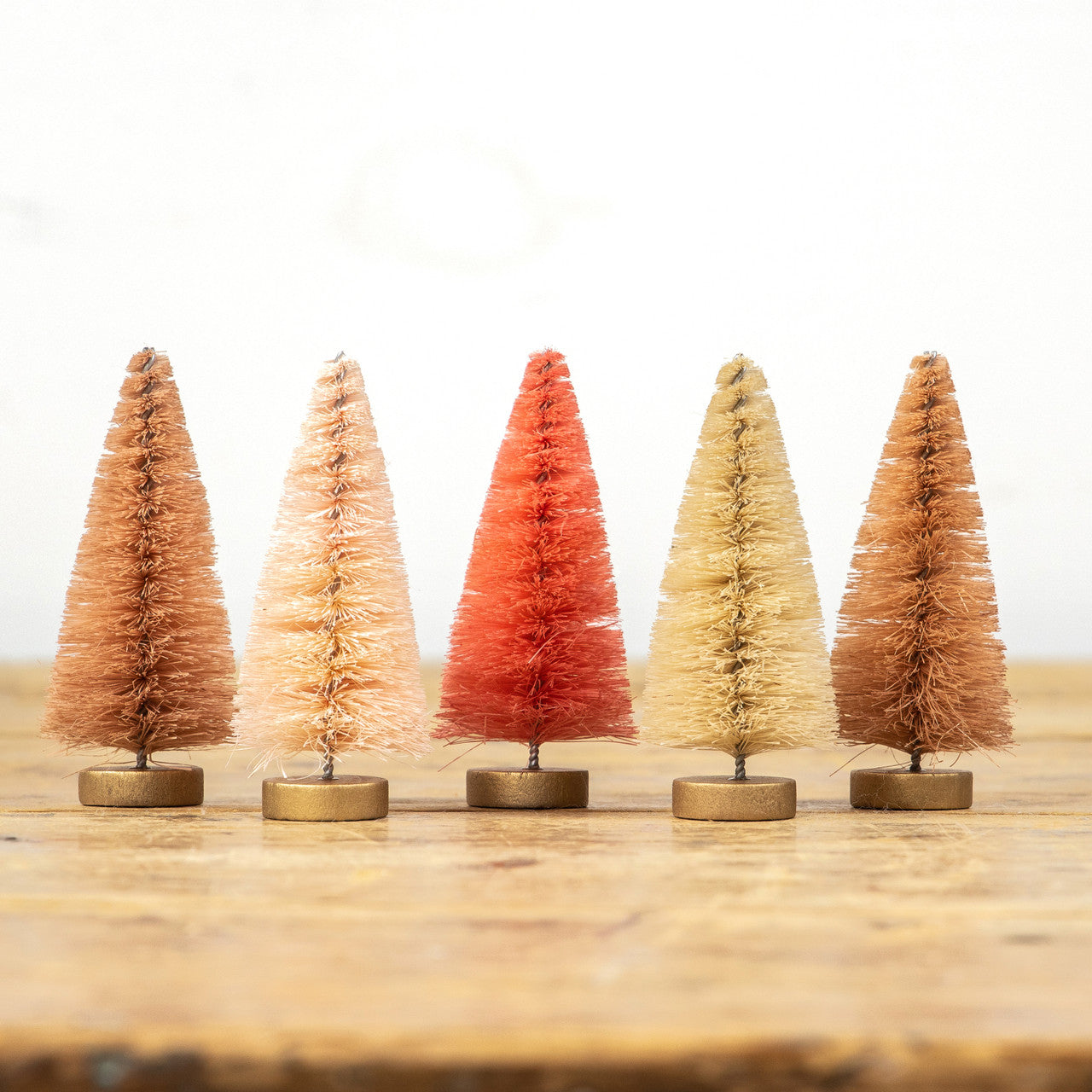 Arbres à brosses à bouteilles Pink Hues 4