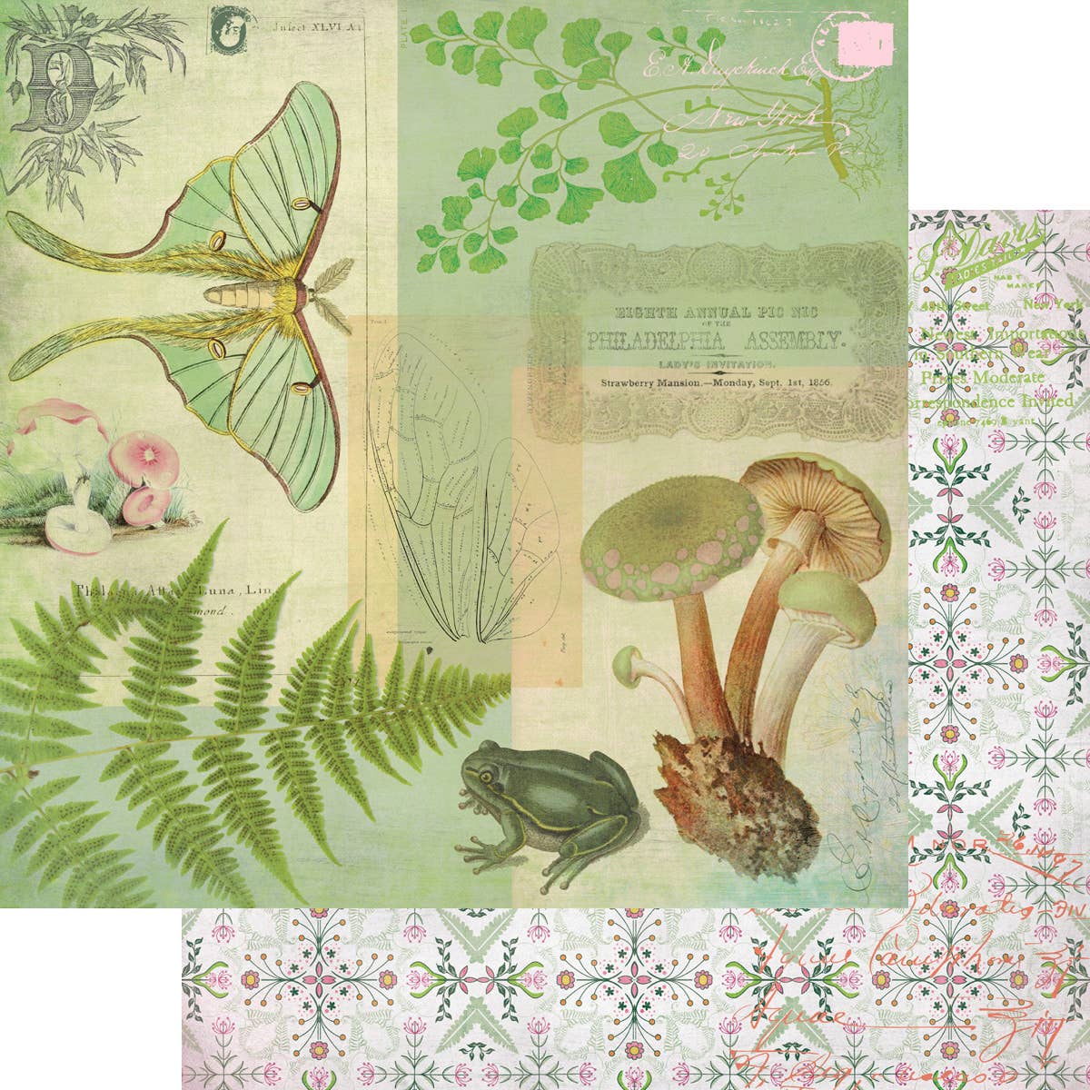 Fairy Garden Collection Kit