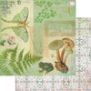 Fairy Garden Collection Kit