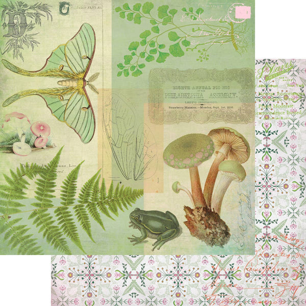 Fairy Garden Collection Kit