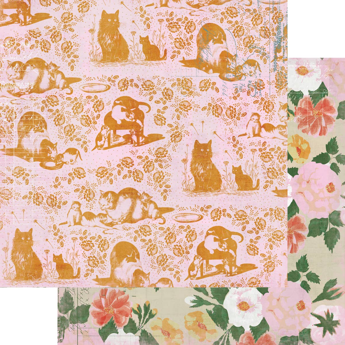 Spot & Oliver Collection Kit