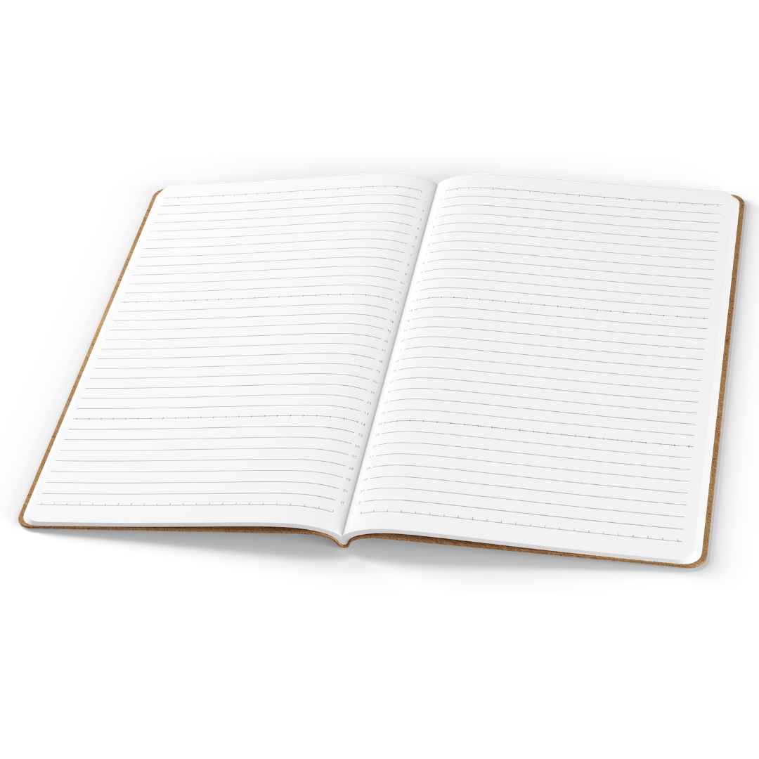 Tomoe River Notebooks A5