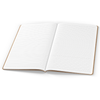 Tomoe River Notebooks A5