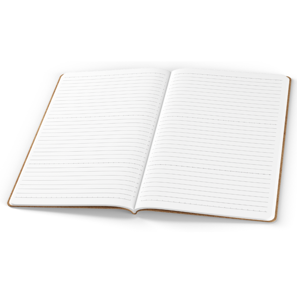 Tomoe River Notebooks A5