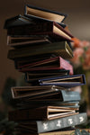 Treasure Island Book Wallet Robert | Louis Stevenson 1883