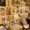 Wall with vintage-style botanical prints and a table displaying similar items.