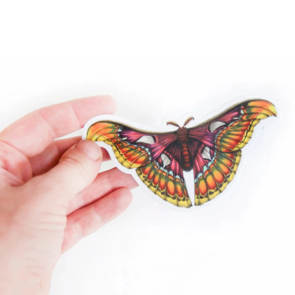 Atlas Moth Illustration Sticker