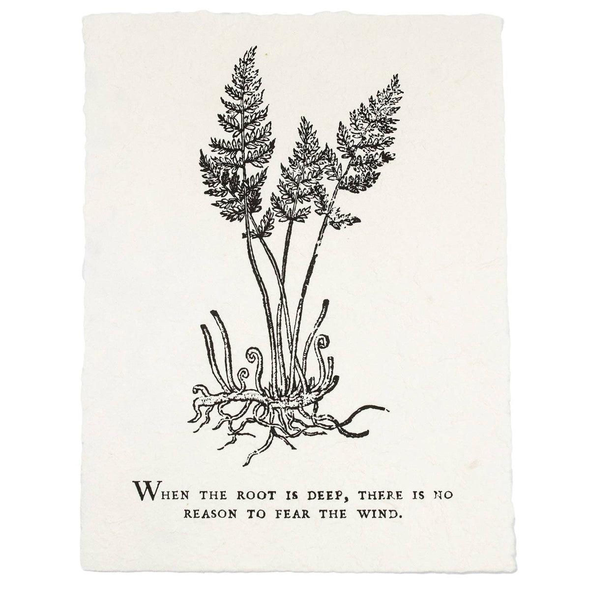 Black and white illustration of plants with roots and a quote on a white background
