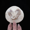 Seafoam Seahorse Skeleton Laser Cut Specimens