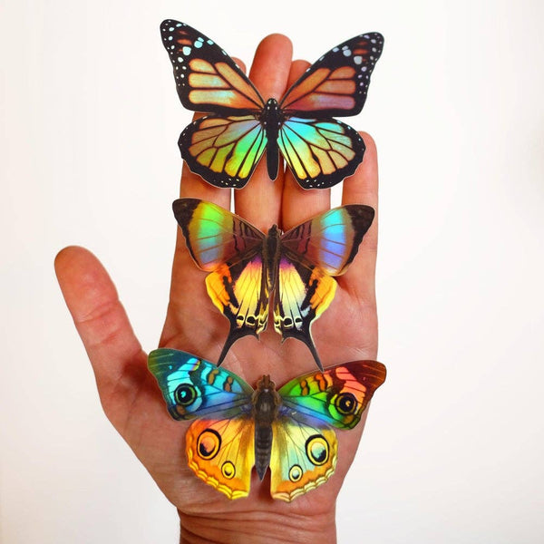 Holographic Daggerwing & Blue Buckeye Butterfly Sticker Set