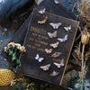 Antiquarian Micro Moth & Butterfly Collection Laser Cut Specimens