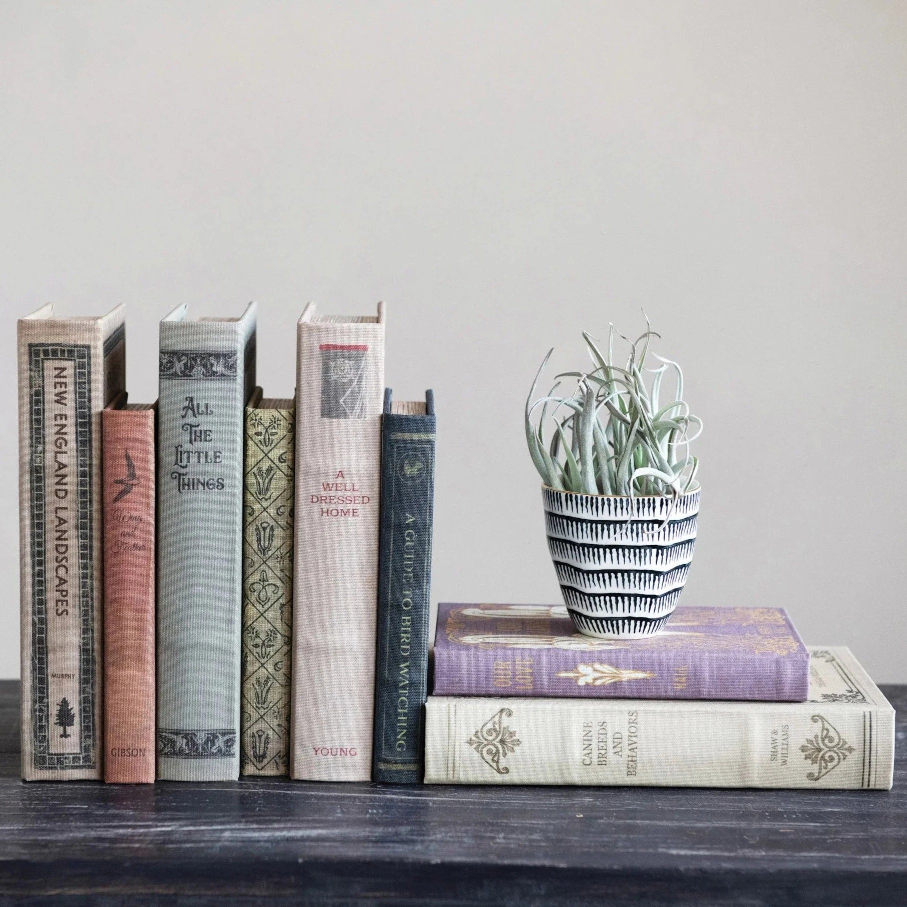Decorative Book Storage Boxes