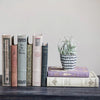 Decorative Book Storage Boxes
