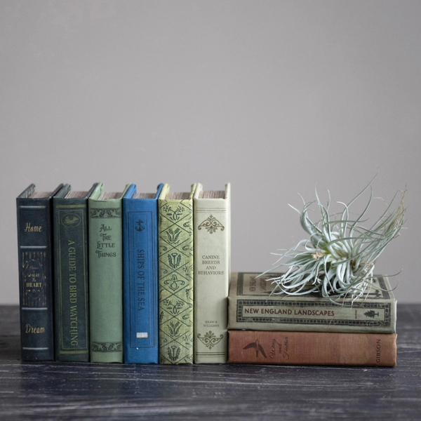 Decorative Book Storage Boxes