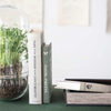Decorative Book Storage Boxes