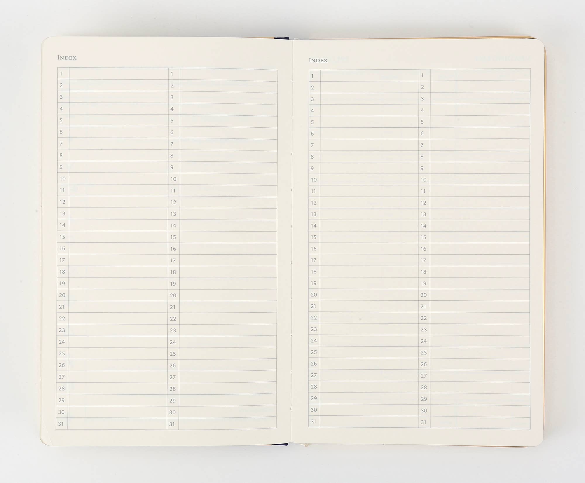 Green Monaco A6 Undated Personal Planner