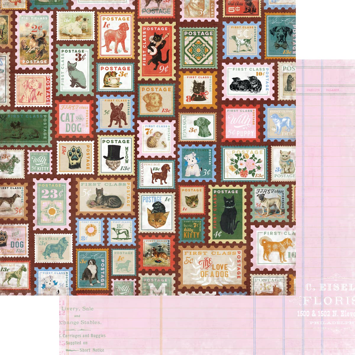 Spot & Oliver Collection Kit
