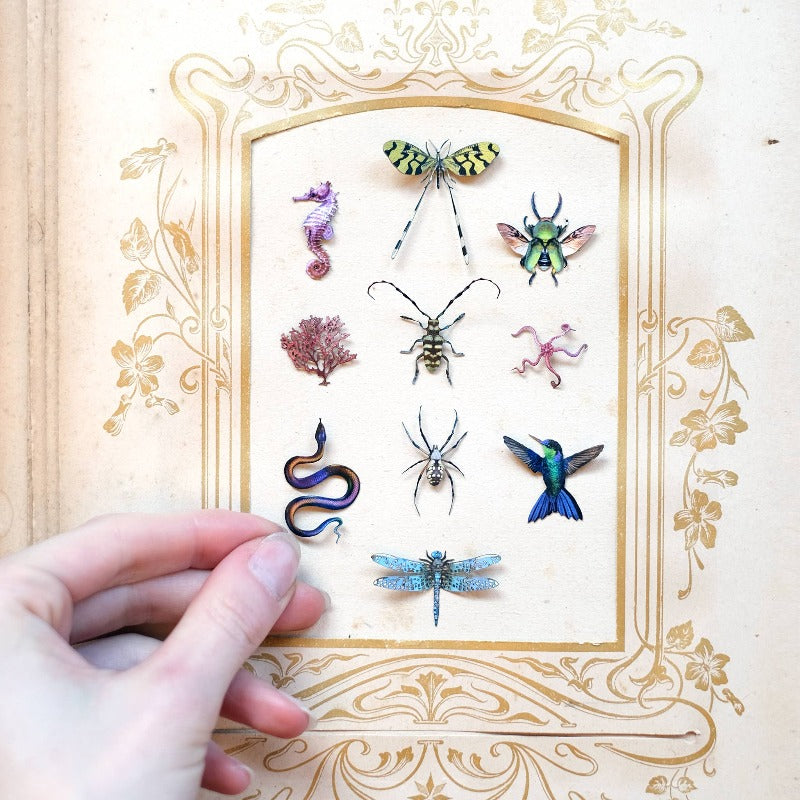 Biophilia Micro Laser Cut Specimen Collection