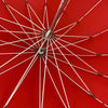 Red Heart Shaped Umbrella