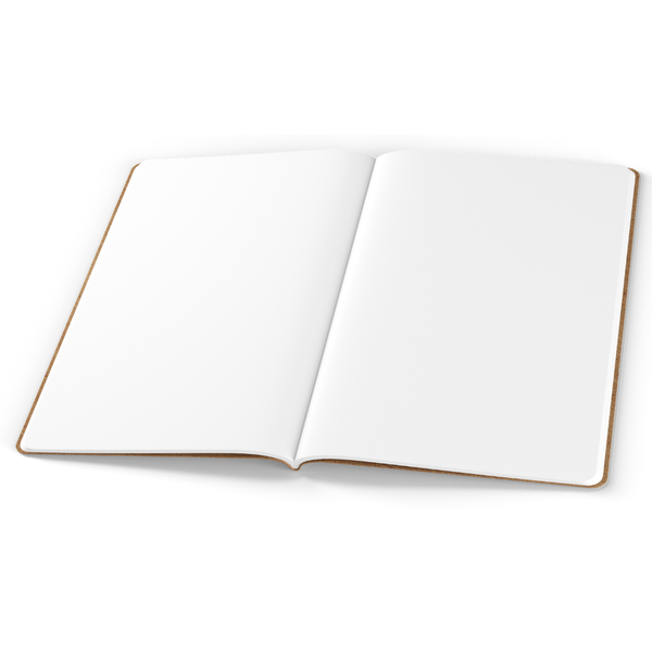 Tomoe River Notebooks A5