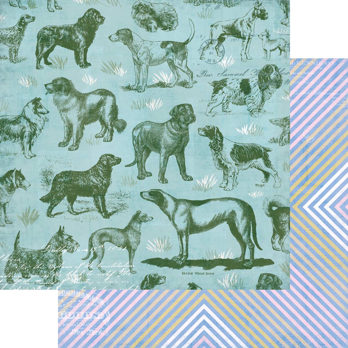 Spot & Oliver Collection Kit